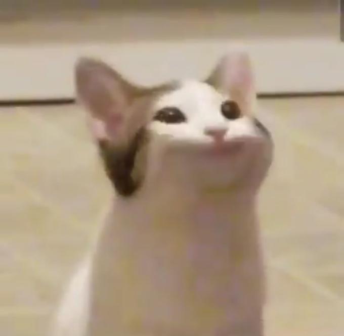 hqdefault.jpg